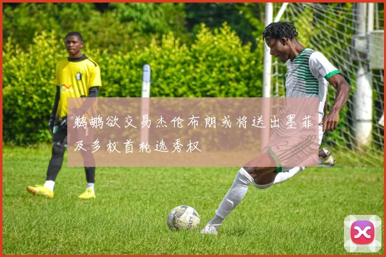 鹈鹕欲交易杰伦布朗或将送出墨菲及多枚首轮选秀权