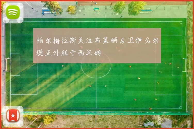 帕尔梅拉斯关注布莱顿后卫伊戈尔现正外租于西汉姆
